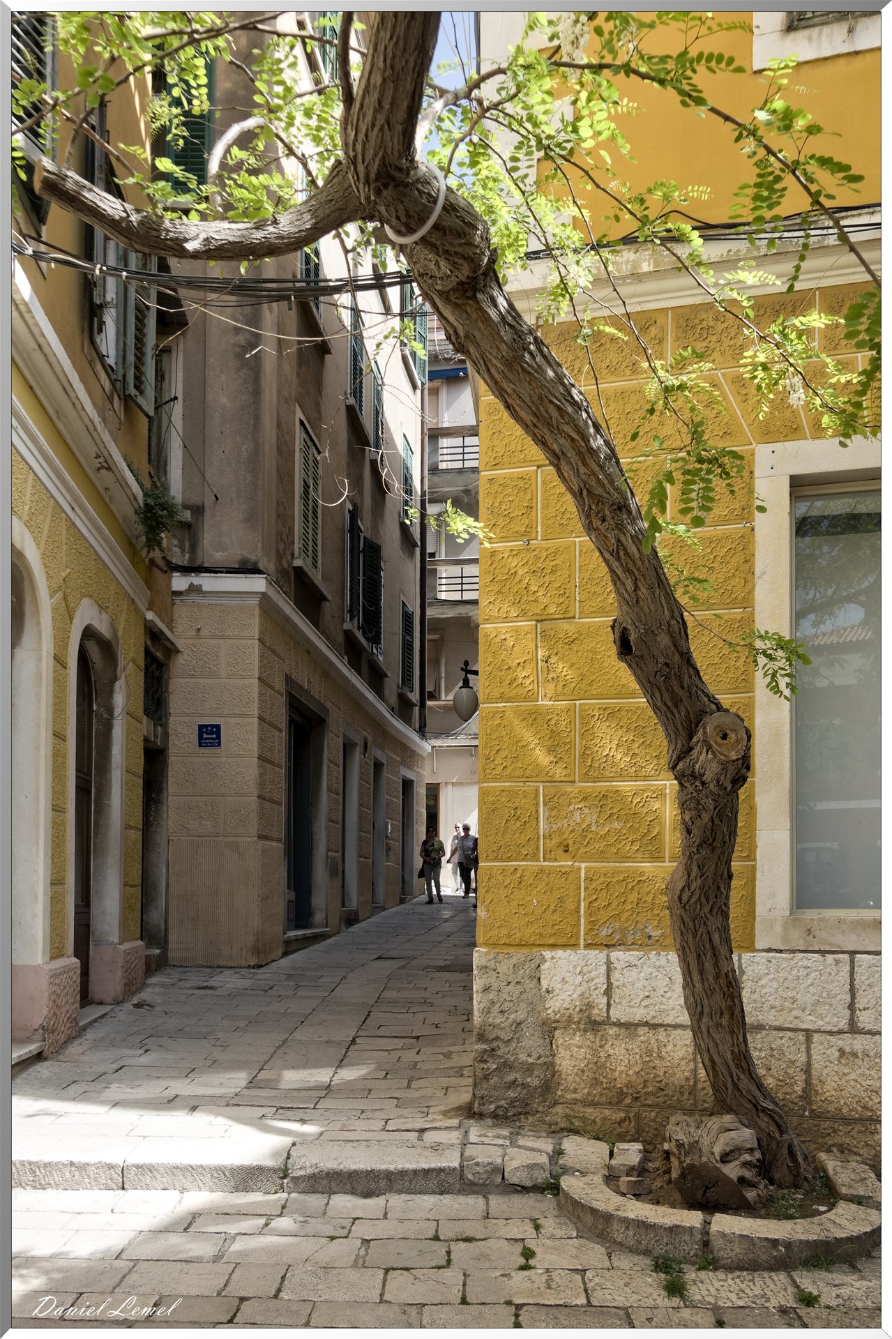 Ruelle